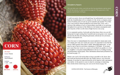 Saving Our Seeds - The Practice & Philosophy - Image 2