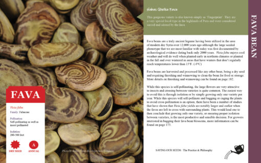 Saving Our Seeds - The Practice & Philosophy - Image 3