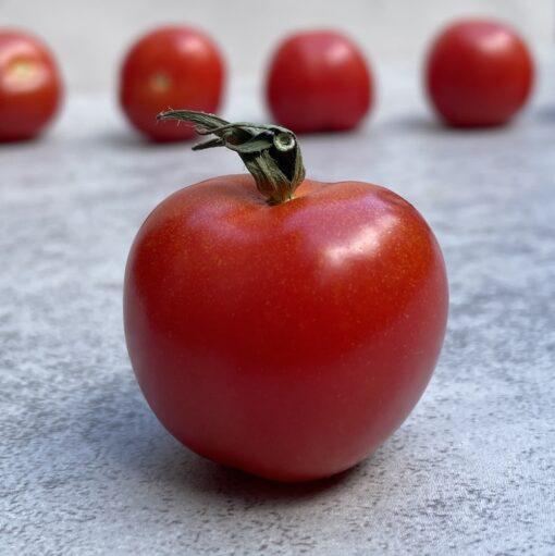 Larry's Large Cherry Tomato