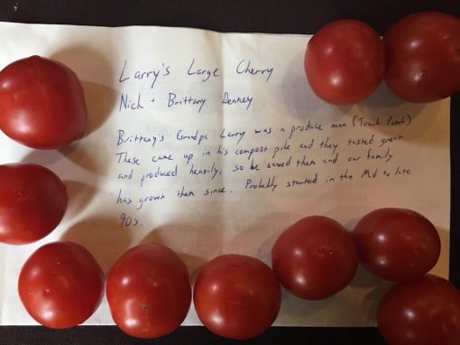 Larry's Large Cherry Tomato - Image 2
