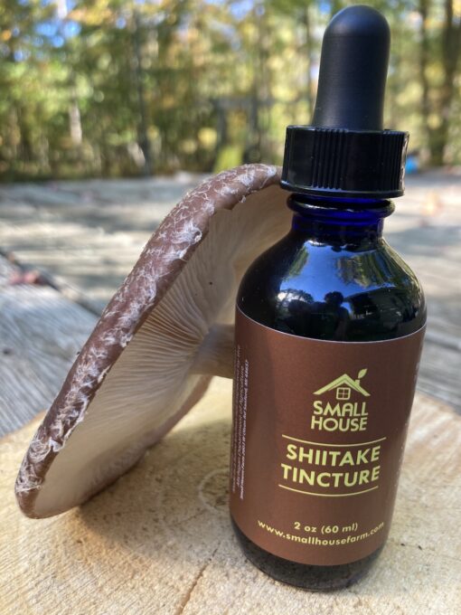 Shiitake Tincture
