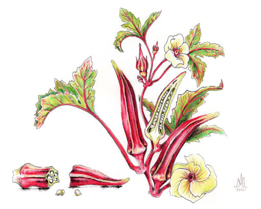 8x10 Prints | Set of 4 Botanicals (Buy 3 Get 1 FREE) - Image 11