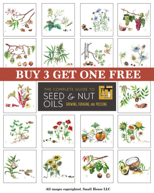 8x10 Prints | Set of 4 Botanicals (Buy 3 Get 1 FREE)