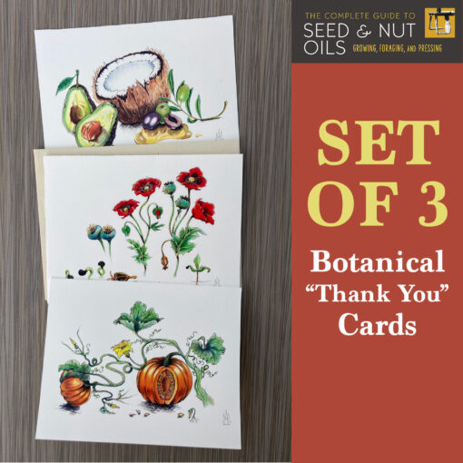 Notecards | Any 3 Botanical Cards for $10