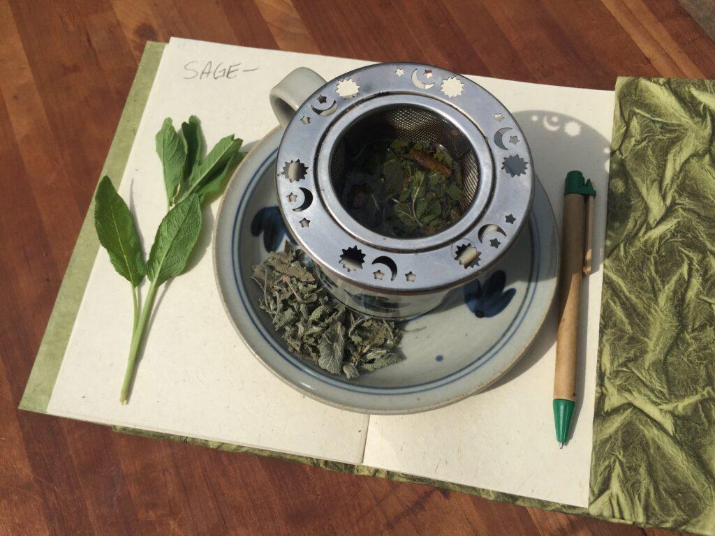 sec1.3.studyherb Tea cup with study notes