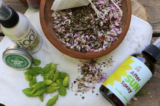 Seasonal Herb Gift Box