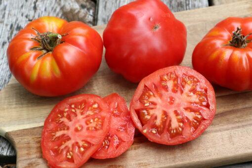 Livingston Paragon Tomato