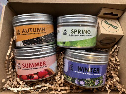 Seasonal Tea Box