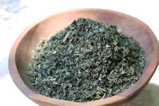 Stinging Nettle