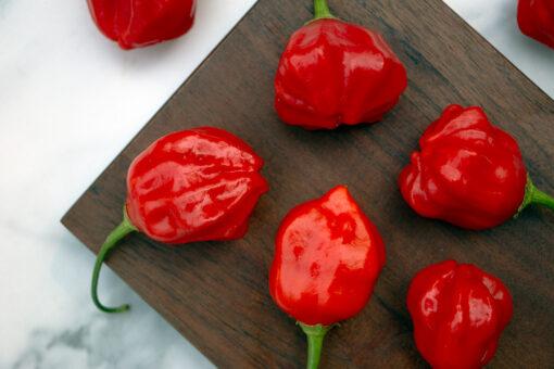 Rainforest Chili
