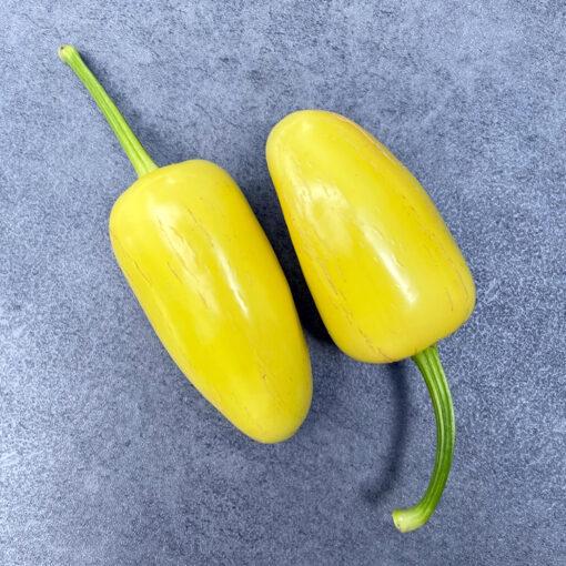 Golden Jalapeño