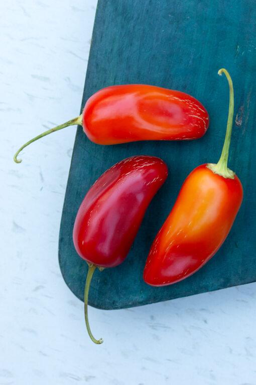 Golden Jalapeño - Image 2