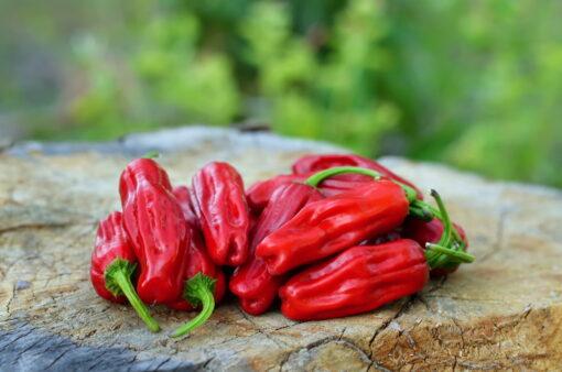 Pepperoncini