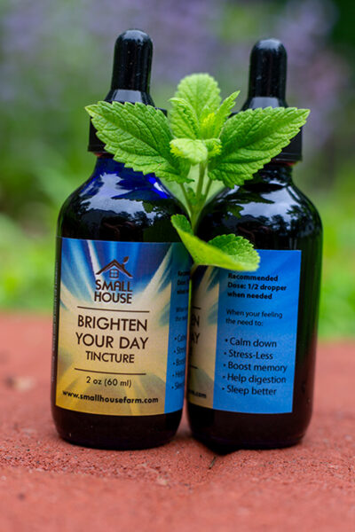 Brighten Your Day Tincture