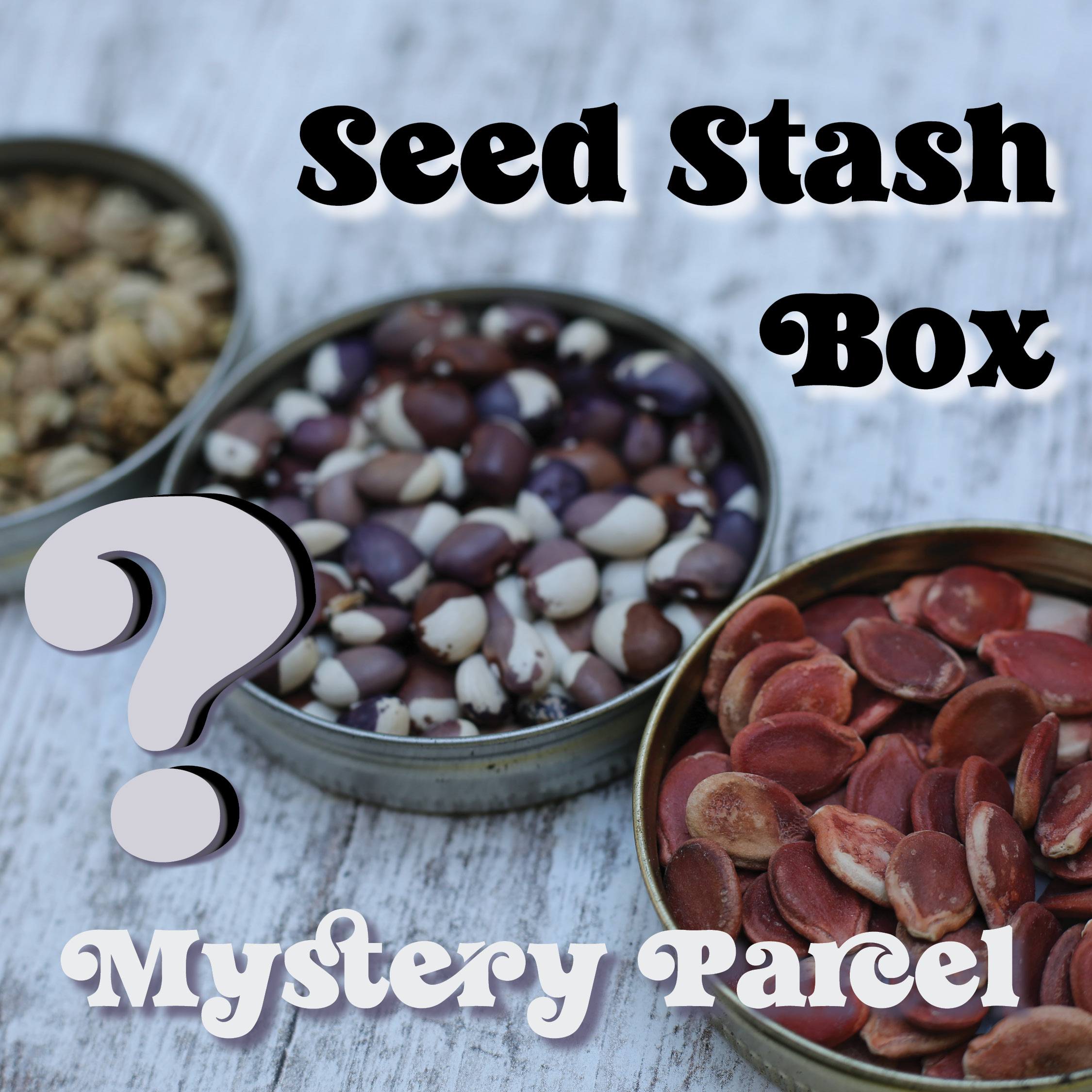 Mystery Seed Stash Box