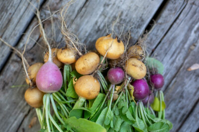 Radish Mix