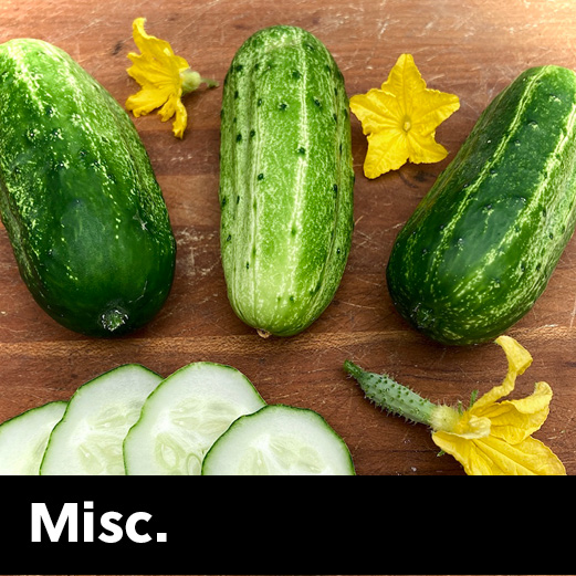 seedcatagory_250x250_20267 misc seeds