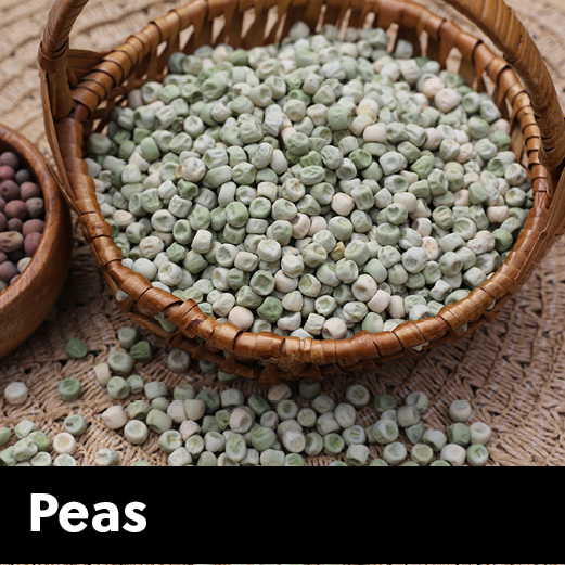 seedcatagory_250x250_20268 pea seeds