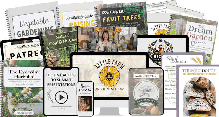 all access giveway bundle