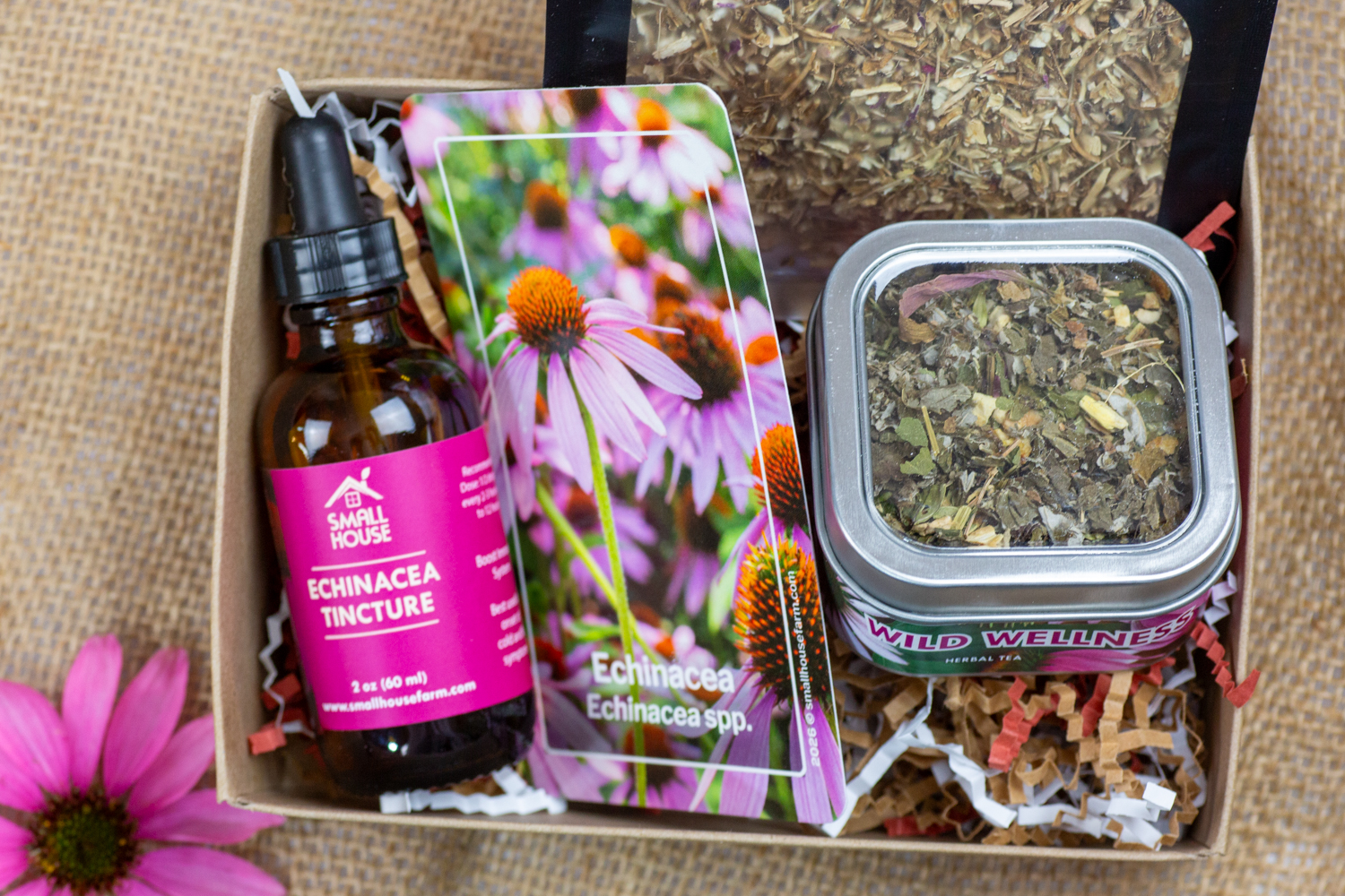 Echinacea Essentials - Image 2