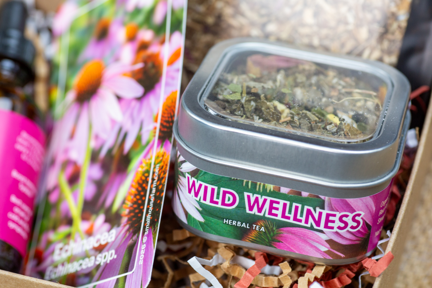 Echinacea Essentials - Image 3