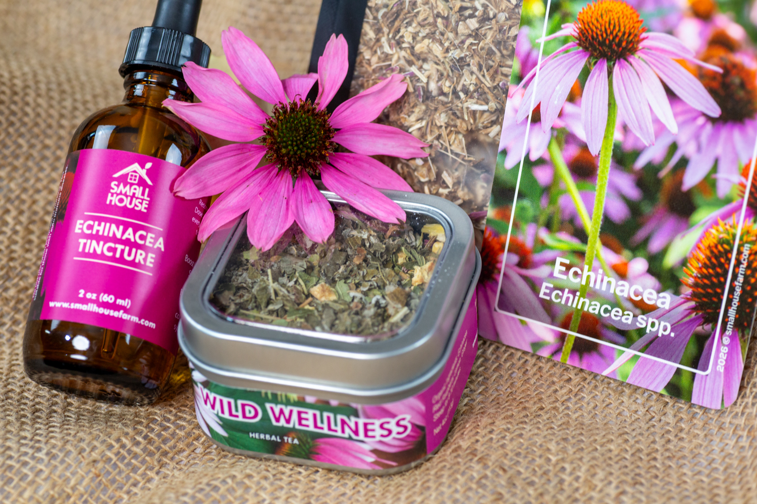 Echinacea Essentials - Image 4