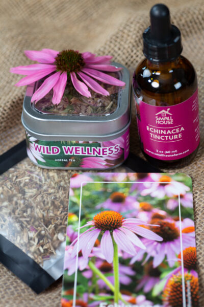 Echinacea Essentials